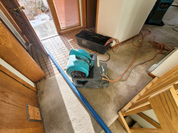 Best Ceiling water damage repair  in Bremerton, WA