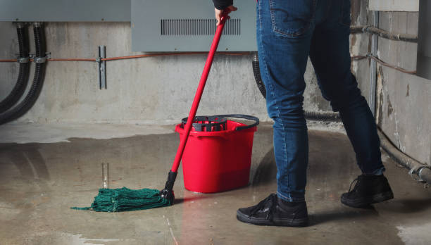 Best Local water damage restoration  in Bremerton, WA