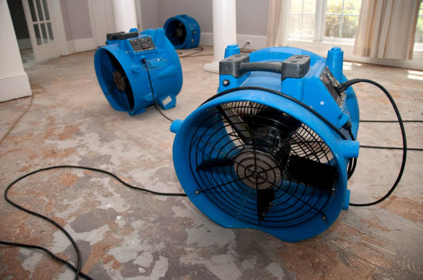 Best Basement water damage restoration  in Bremerton, WA