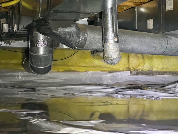 Best Flooded house restoration  in Bremerton, WA