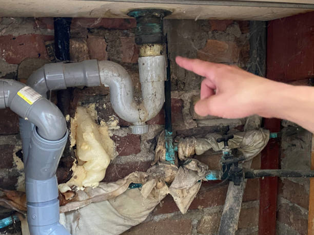 Best Water damage restoration near me  in Bremerton, WA