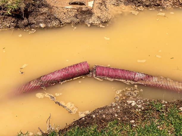 Best Emergency water damage restoration  in Bremerton, WA